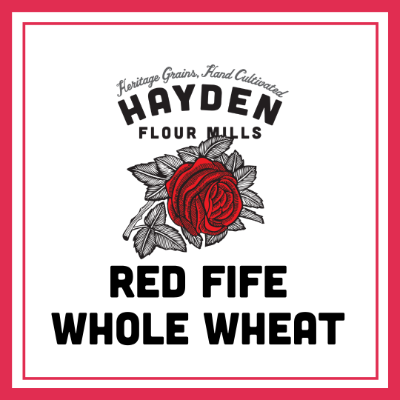 Red Fife Whole Wheat 
