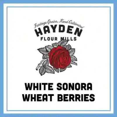 White Sonora Berries 